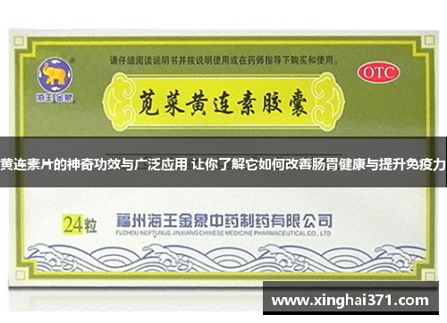 黄连素片的神奇功效与广泛应用 让你了解它如何改善肠胃健康与提升免疫力