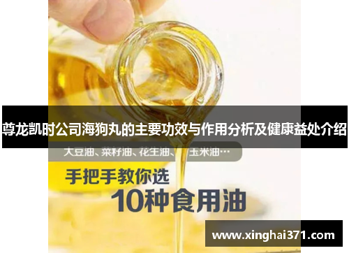 尊龙凯时公司海狗丸的主要功效与作用分析及健康益处介绍