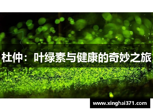 杜仲：叶绿素与健康的奇妙之旅