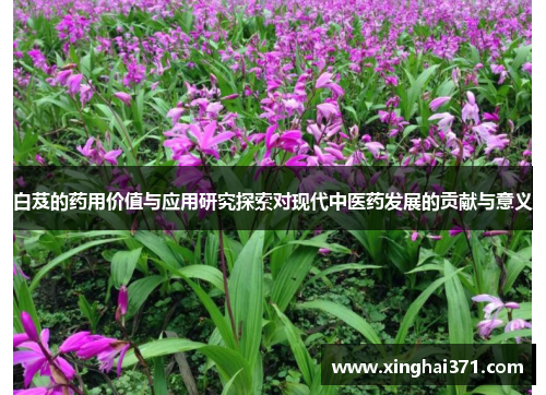 白芨的药用价值与应用研究探索对现代中医药发展的贡献与意义