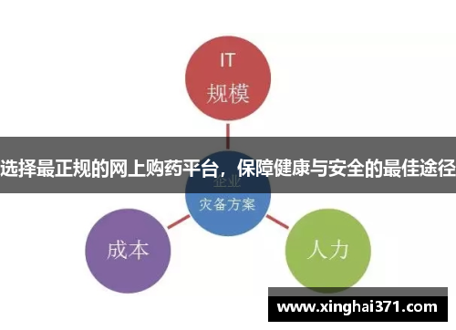选择最正规的网上购药平台，保障健康与安全的最佳途径